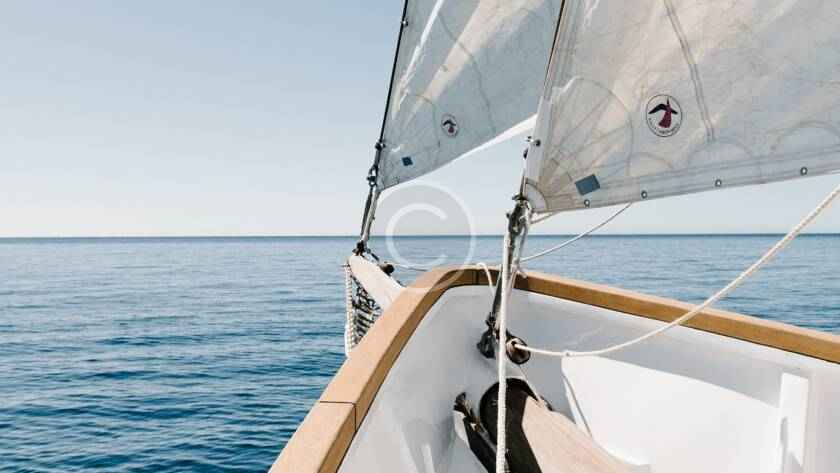 Fresh startup ideas for your sailing business 3 post6 copyright